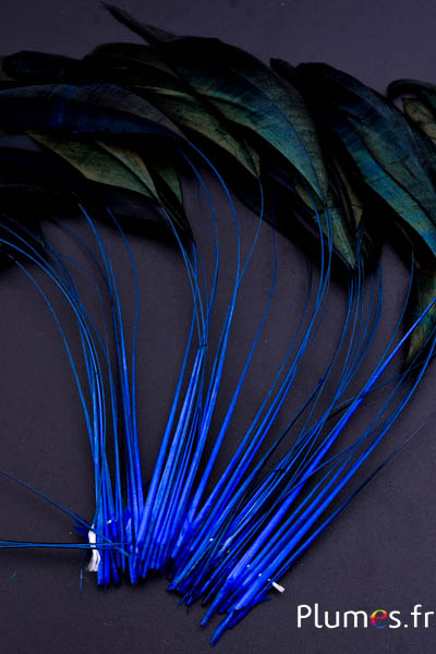 Coquetips - 12-17 cm - bleu-noir